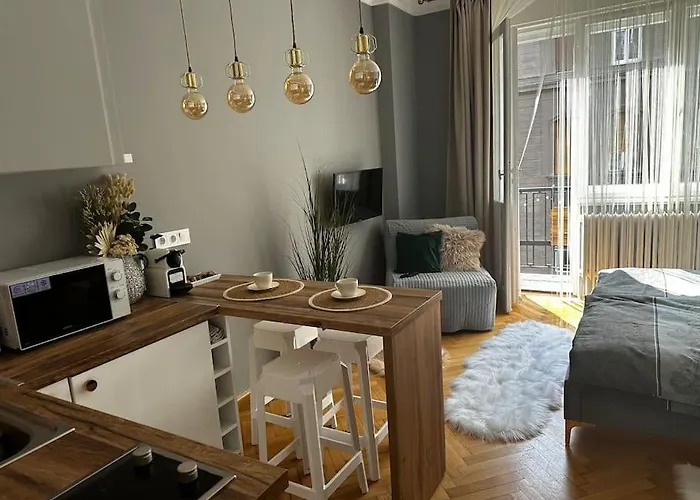 Luxury Downtown Apartment