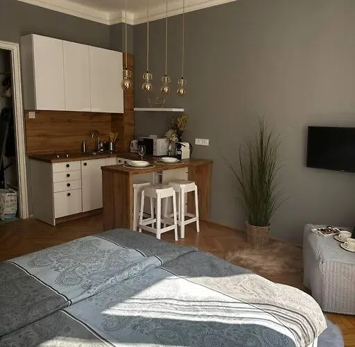 Luxury Downtown Apartment