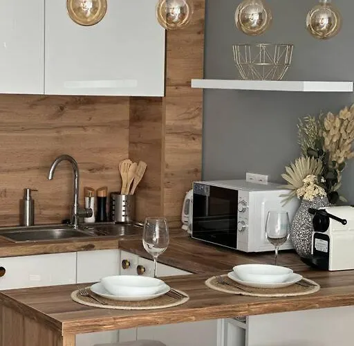 Luxury Downtown Apartment